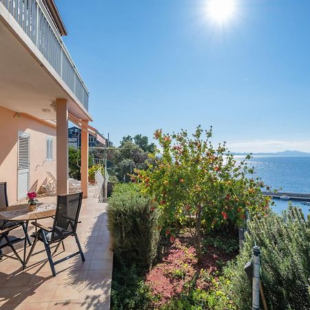 Apartments Daniela زافالاتيكا المظهر الخارجي الصورة